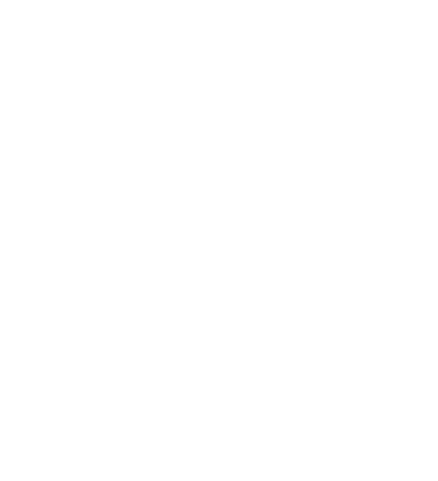 Royal-Diam-logo
